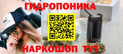 мет Дубна