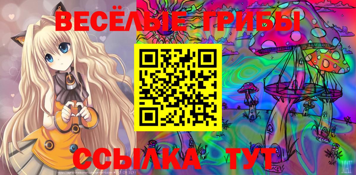 Галлюциногенные грибы мицелий  Галлюциногенные грибы Cubensis  Котлас  Вход с VPN 